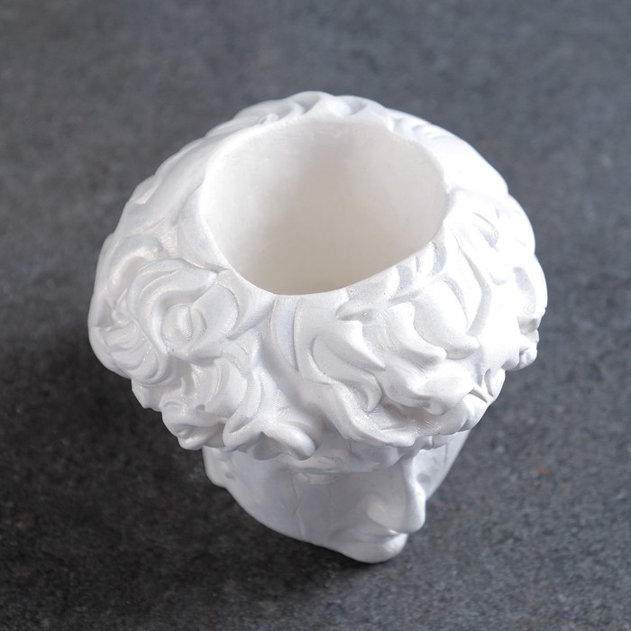 Кашпо - органайзер Кашпо - органайзер"Голова Давида" перламутр, 9х9х9см