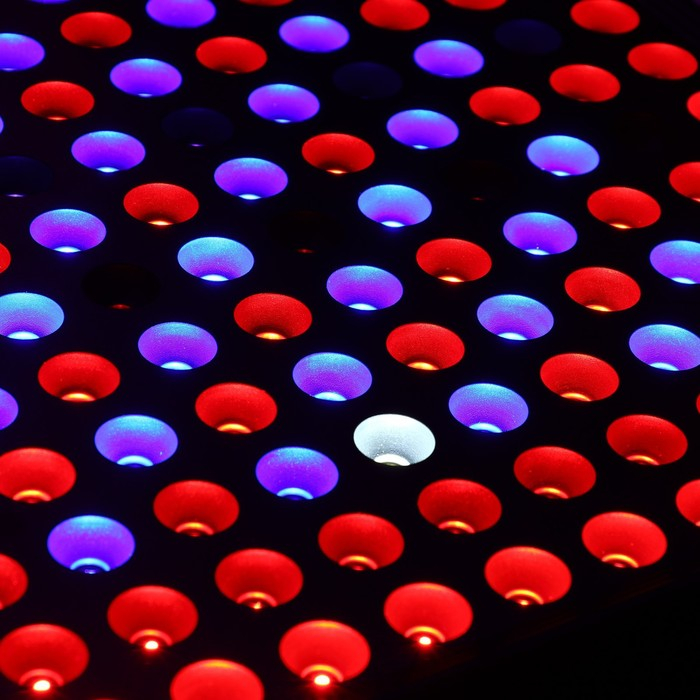 Фитосветильник светодиодный, 80 Вт, 280 мм, IP20, 265 В, полноспектральный Фитосветильник светодиодный, 80 Вт, 280 мм, IP20, 265 В, полноспектральный