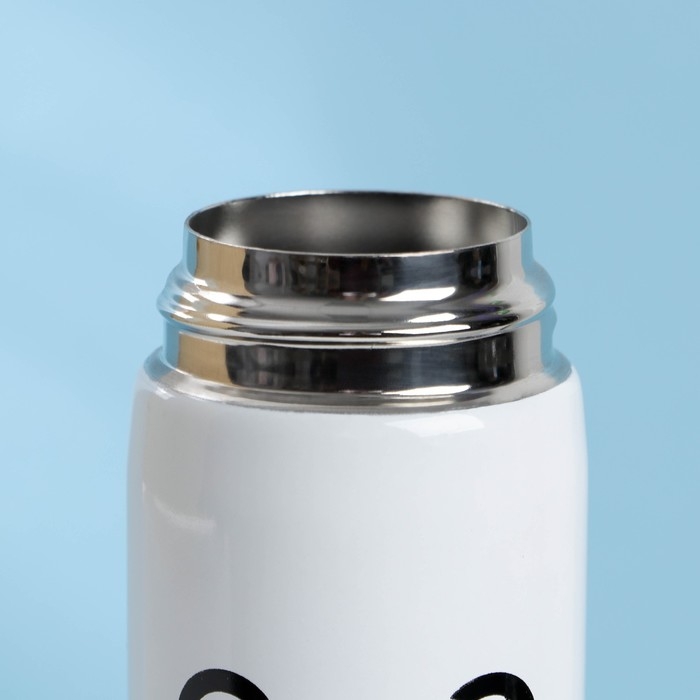 Термос «Панда», 450 мл, сохраняет тепло 10-12 ч Термос «Панда», 450 мл, сохраняет тепло 10-12 ч