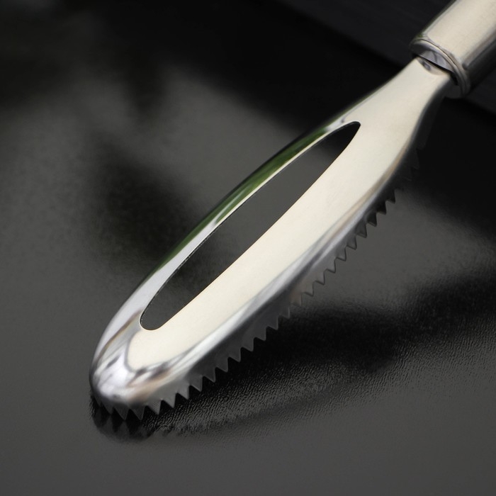 Рыбочистка Доляна «Металлик», 16,5 см, цвет серебристый Рыбочистка Доляна «Металлик», 16,5 см, цвет серебристый