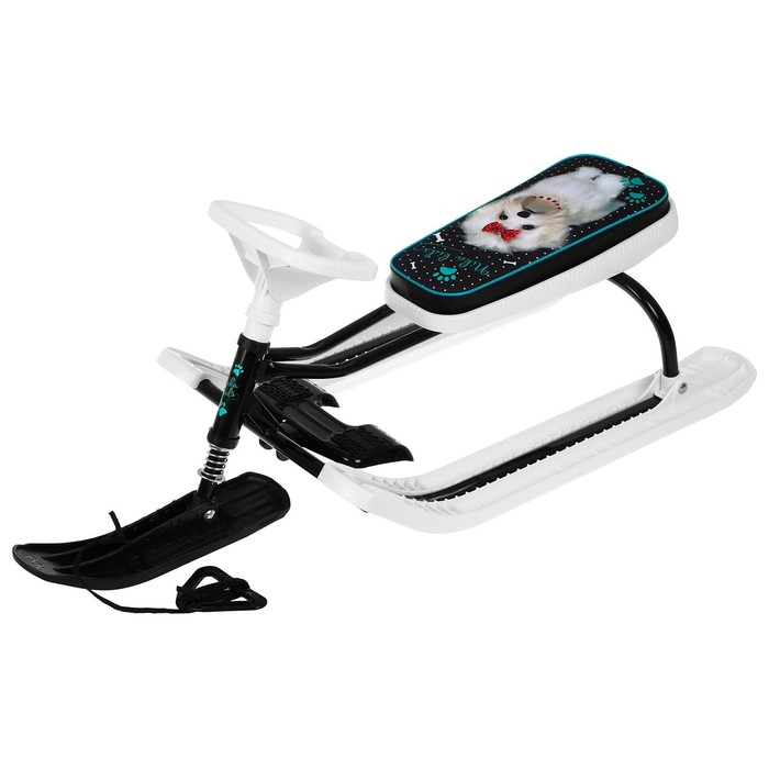 Снегокат «Тимка Спорт 2 + Болонка», ТС2+/БЛ, цвет белый/чёрный Снегокат «Тимка Спорт 2 + Болонка», ТС2+/БЛ, цвет белый/чёрный