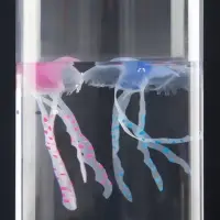 Лава - лампа RISALUX &laquo;Медузы&raquo;, подсветка, RGB, USB, 3-5 Вт, чёрная, 9&times;9&times;25.5 см