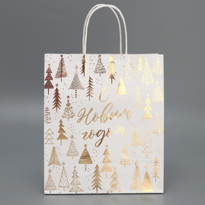 Пакет подарочный новогодний крафтовый «Новогодняя пора», 22 х 25 х 12 см, Новый год Пакет подарочный новогодний крафтовый «Новогодняя пора», 22 х 25 х 12 см, Новый год