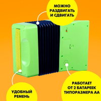 Игрушка музыкальная «Аккордеон», МИКС