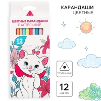 Набор подарочный в папке, Коты аристократы, 30 предметов