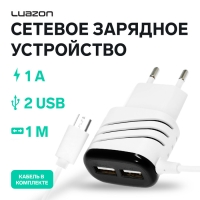 Сетевое зарядное устройство Luazon LCC-24, 2 USB, microUSB, 1 A, 1 м, черно-белое