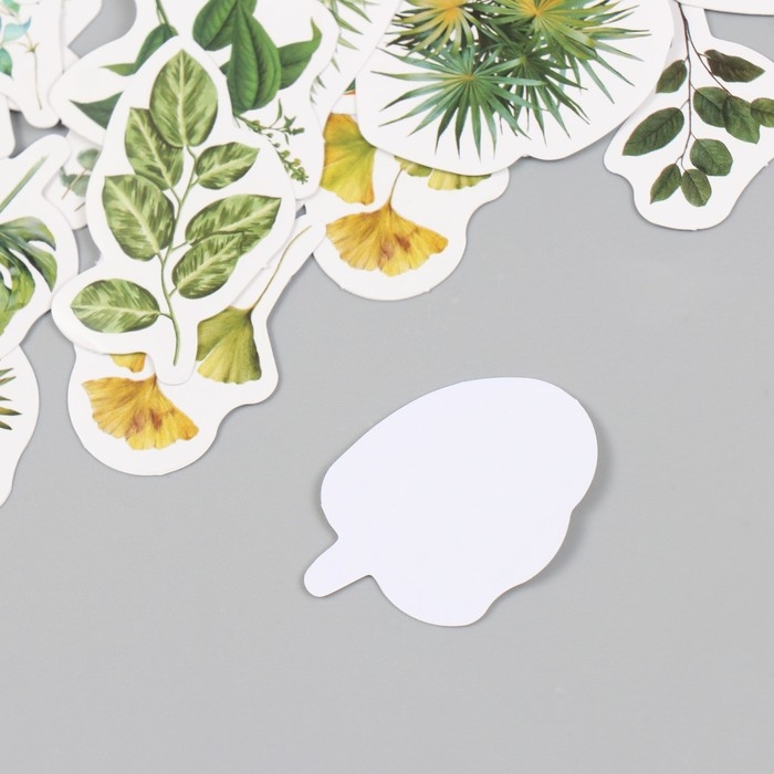 Наклейки для творчества Наклейки для творчества "Зелёные листья" набор 46 шт 6,4х4,4х1,1 см