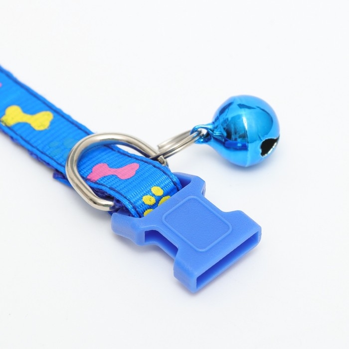 Ошейник двухслойный с фастексом Ошейник двухслойный с фастексом "Разноцветные косточки" 30 х 1 см, синий