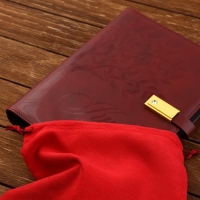 Родословная книга со встроенной флешкой 16 Gb «Книга всей семьи», 17,5 х 23 см.