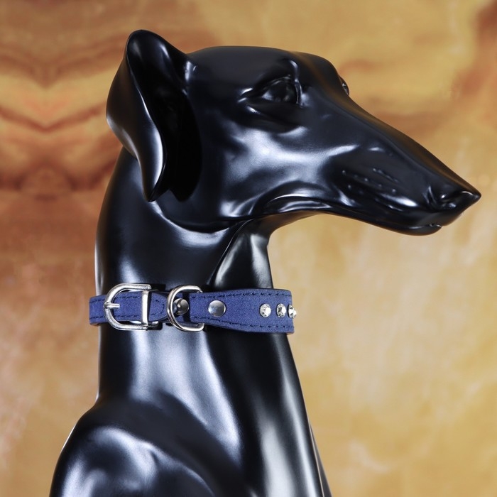 Ошейник Ошейник "Бархат и стразы", 31 х 1,3/2 см, ОШ 22-28 см, синий