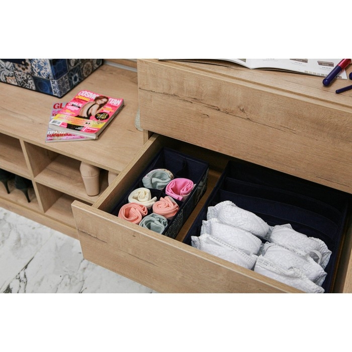 Органайзер для хранения белья Доляна «Мозаика», 8 ячеек, 28×14×10 см, цвет синий Органайзер для хранения белья Доляна «Мозаика», 8 ячеек, 28×14×10 см, цвет синий