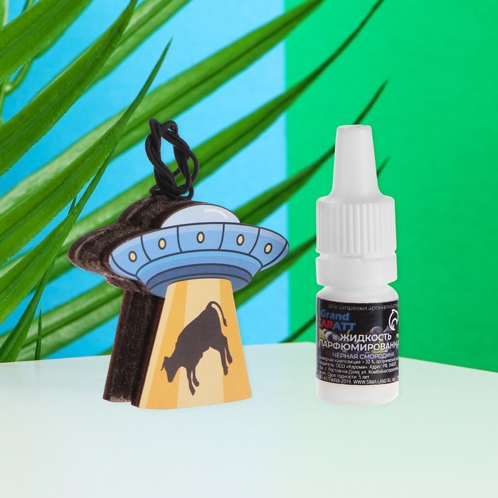 Подвеска автомобильная НЛО + аромамасло Черная смородина 5 мл Подвеска автомобильная НЛО + аромамасло Черная смородина 5 мл