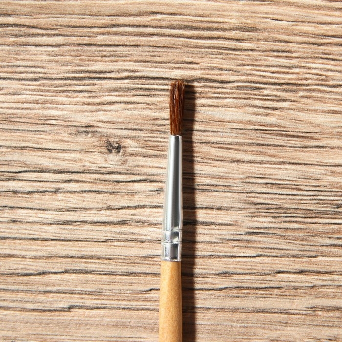 Кисть для рисования набор 4 шт. белка «TRUE ART» № 1, 2, 3, 4 Кисть для рисования набор 4 шт. белка «TRUE ART» № 1, 2, 3, 4