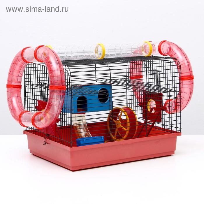 Клетка для грызунов Клетка для грызунов "Хома 4", 55 x 37 x 42 см, микс цветов