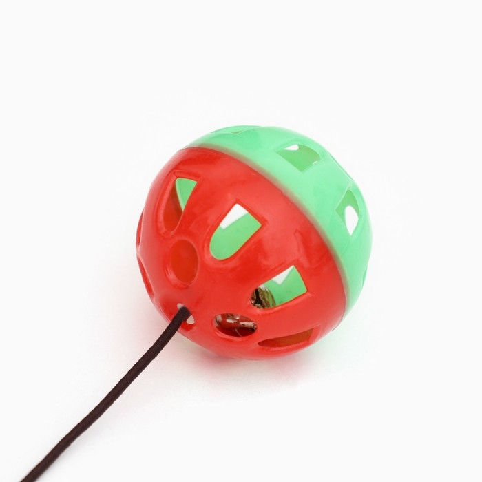 Шарик для кошек на присоске с бубенчиком, 4 см, красная/зеленая Шарик для кошек на присоске с бубенчиком, 4 см, красная/зеленая