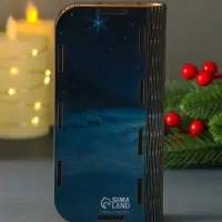 Новогодняя шкатулка "Достатка" 17х8,5 см