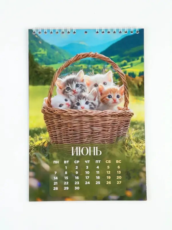 Календарь 2027 на пружине без ригеля &laquo;Котик&raquo;