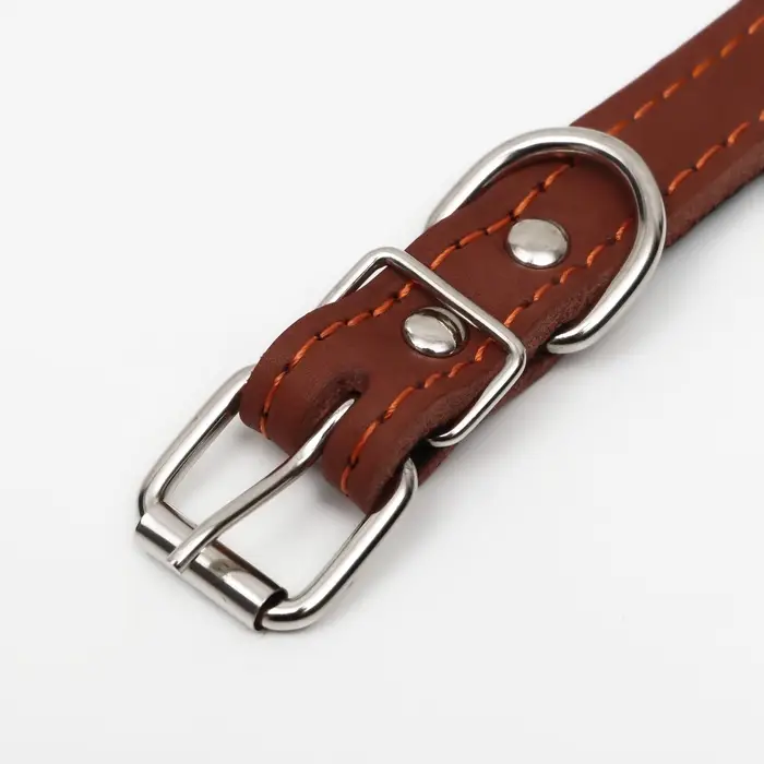 Ошейник, безразмерный, 45&times;2 см, ОШ 18-39 см, на синтепоне, кожа, коричневый