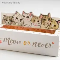 Коробка для макарун кондитерская, упаковка «Meow or never», 18 х 5,5 х 5,5 см