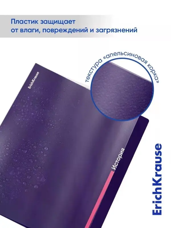 Набор предметных тетрадей ErichKrause Indigo, 12 предметов, 48 листов, с пластиковой обложкой