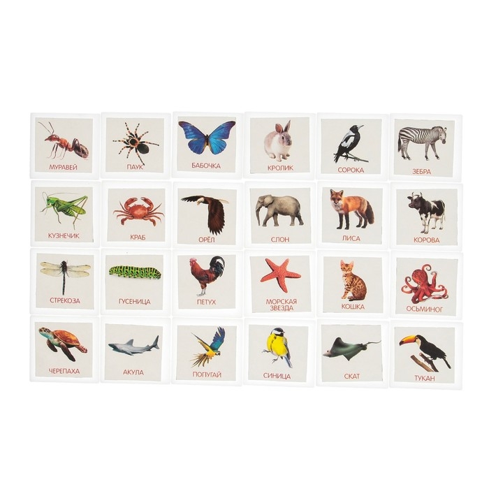 Большой развивающий набор от 2 лет, всестороннее развитие Большой развивающий набор от 2 лет, всестороннее развитие