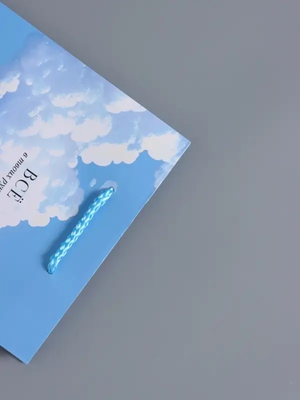 Пакет подарочный "Всё в твоих руках" ламинированный 18 х 22,3 х 10 см