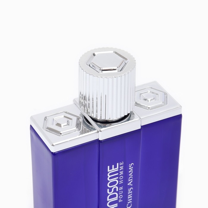 Туалетная вода мужская Chris Adams Handsome Man, 100 мл Туалетная вода мужская Chris Adams Handsome Man, 100 мл
