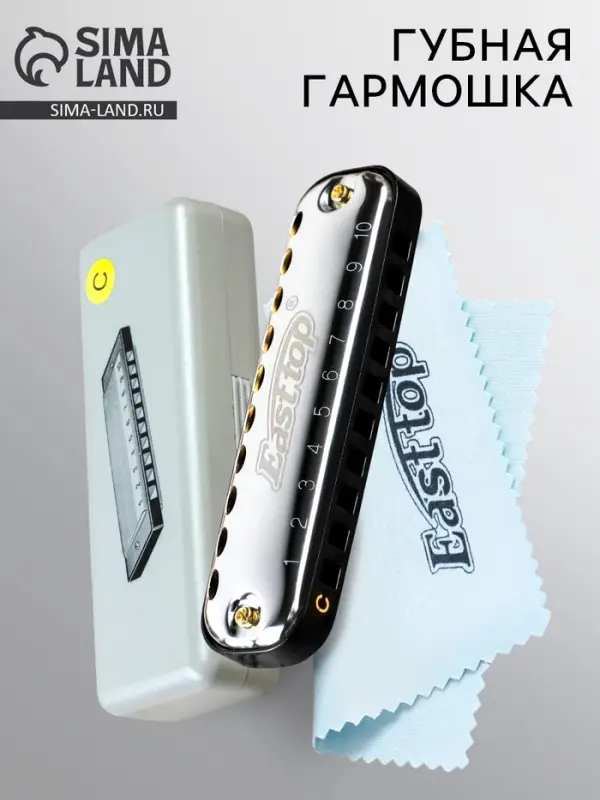 Губная гармошка Music Life T10-1 C BLACK диатоническая, 10 отверстий, с футляром