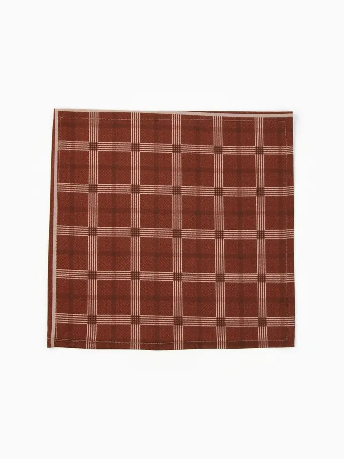 Платки носовые мужские Этель 30*30 см,(набор 12 шт,) цв. коричневый, рис. МИКС, 100% хл