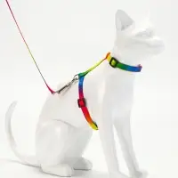 Комплект для кошек &laquo;Радуга&raquo;, ОШ 16.5-27, ОГ 21-35 см, ширина 1 см, поводок 120 см