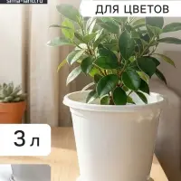 Горшок для цветов с поддоном &laquo;Альтернатива. Эконом&raquo;, 3 л, пластиковый, белый