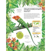 Энциклопедия «Удивительные животные»