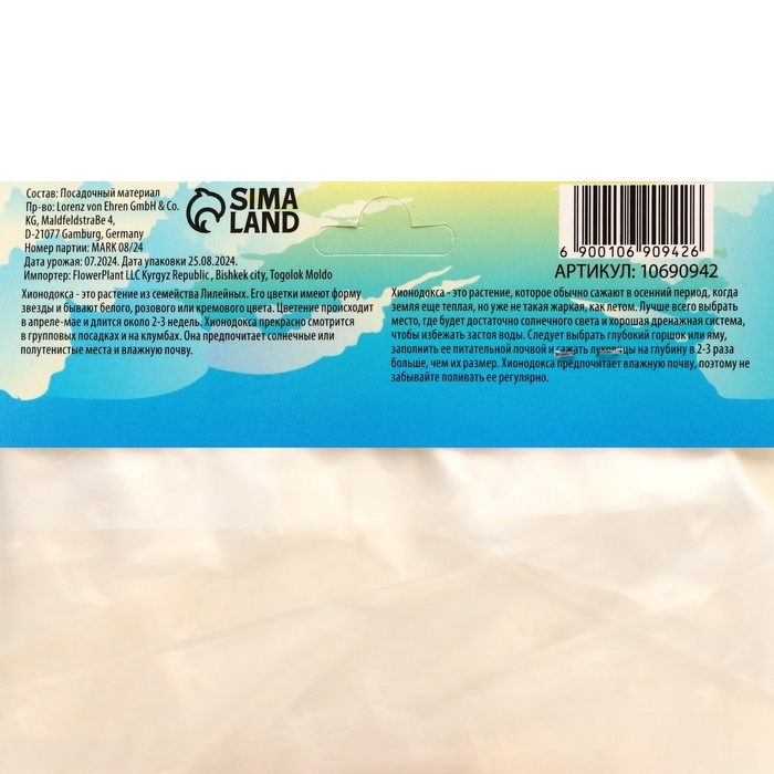 Хионодокса Форбса, р-р 5/+, 10 шт, Осень 2024 Хионодокса Форбса, р-р 5/+, 10 шт, Осень 2024