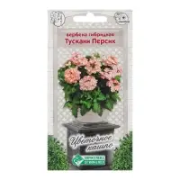 Семена цветов Вербена гибридная "Тускани Персик", 8 шт Семена цветов Вербена гибридная "Тускани Персик", 8 шт