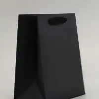 Пакет подарочный, с окном, 20&times;15&times;10 см, чёрный