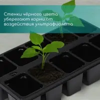 Кассета для рассады Greengo на 10 ячеек, по 100 мл, пластиковая, чёрная, 25×14×5 см