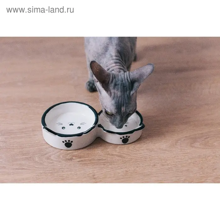 Миска двойная &laquo;Кошачье семейство&raquo;, 40/60 мл, 19&times;10.5&times;3.5 см, керамика, белая, чёрная