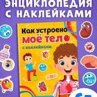 Наклейки &laquo;Как устроено моё тело&raquo;, 16 стр.