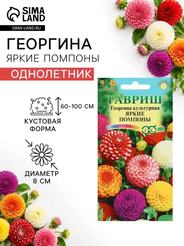 Семена цветов Георгина "Яркие помпоны", ц/п,   0,2 г