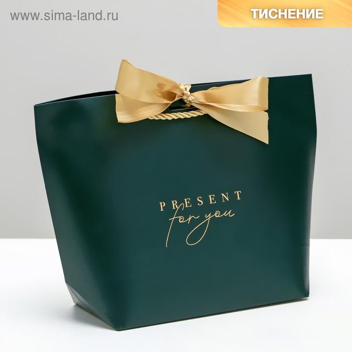 Пакет подарочный, упаковка, Present for you, 19 х 20 х 9 см Пакет подарочный, упаковка, Present for you, 19 х 20 х 9 см