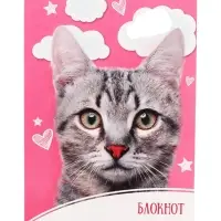 Блокнот А6, 24 листа на скрепке «Домашние животные», обложка мелованный картон, МИКС