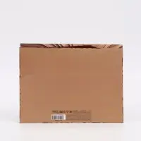 Пакет подарочный с широким дном &laquo;Подарок&raquo;, 25 &times; 19 &times; 18 см