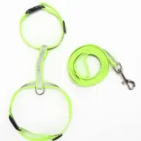 Комплект для кошек светоотражающий, ширина 1 см, шлейка 21-35 см, поводок 120 см, зелёный