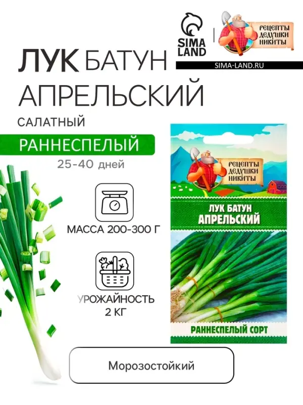 Семена Лук батун  Семена Лук батун "Апрельский", 0,5 г