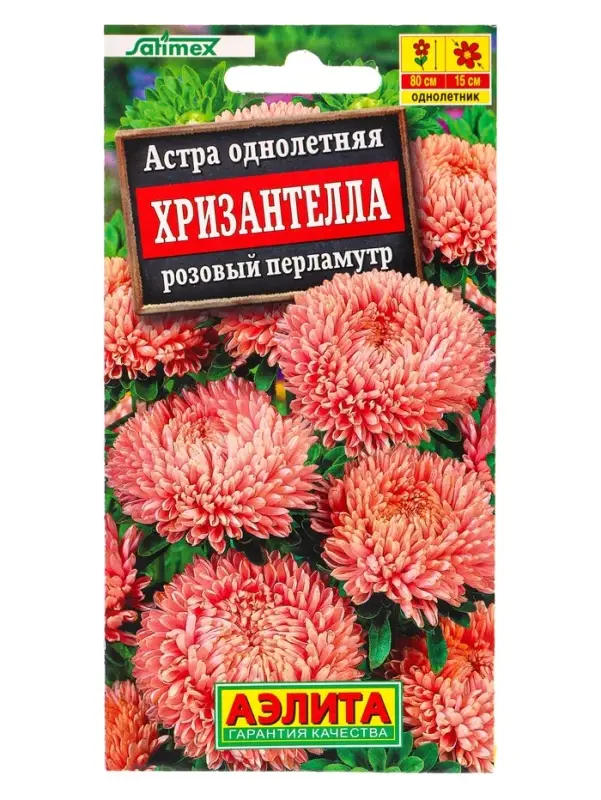 Семена цветов Астра Хризантелла розовый перламутр С. Satimex, Ц/П,15 шт. Семена цветов Астра Хризантелла розовый перламутр С. Satimex, Ц/П,15 шт.