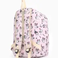 Рюкзак школьный &laquo;Котик&raquo;, с пеналом, 29&times;12&times;41 см, розовый
