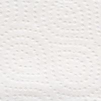 Полотенца бумажные д/дисп. FOCUS Economic Premium Zсл 2слбелцел100л35пач/уп