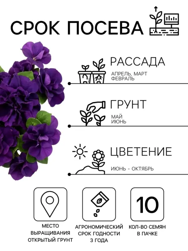 Семена цветов Петуния &laquo;Дуо&raquo;, F1, синяя, махровая, 10 шт.