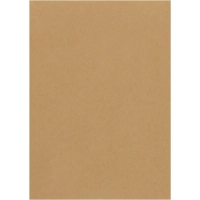 Пакет крафт В4 стрип Multipack 250х353 100г 200шт/уп/5781