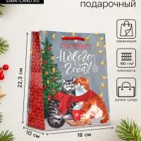 Пакет подарочный новогодний ламинированный &laquo;Счастливого нового года&raquo;, 18&times;10&times;22.3 см